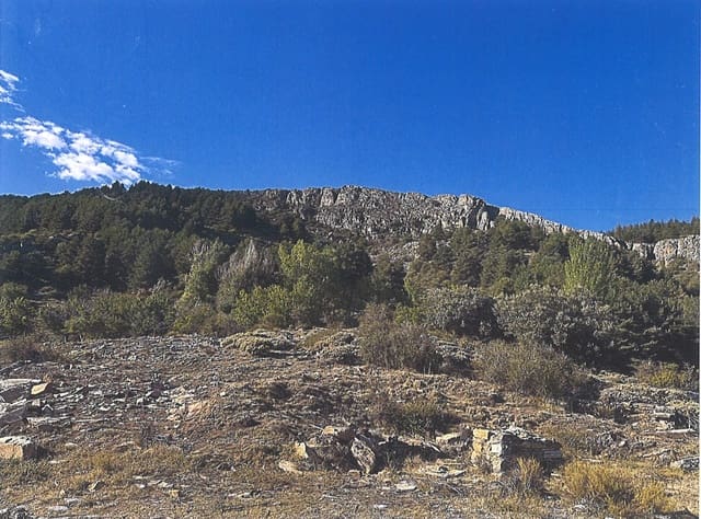 Bouwgrond te koop in Güéjar Sierra - € 890.000 (Ref: 9665335)