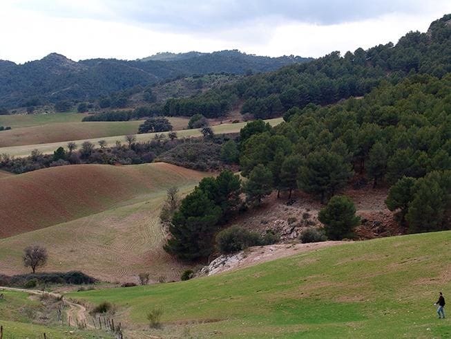 Building Plot for sale in Ardales - € 2,900,000 (Ref: 9757818)