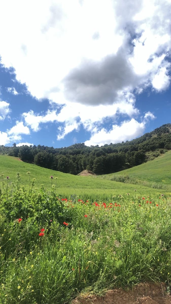 Building Plot for sale in Ardales - € 2,900,000 (Ref: 9757818)