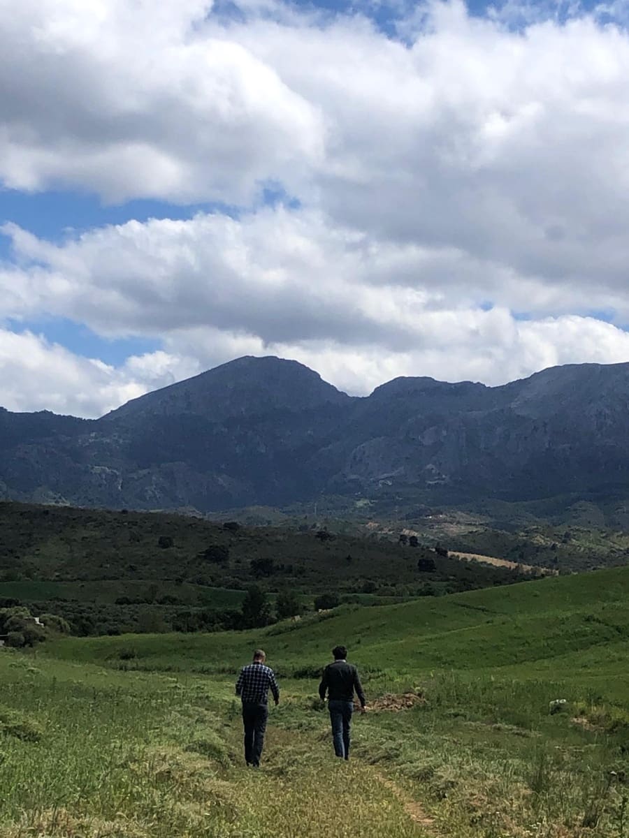 Building Plot for sale in Ardales - € 2,900,000 (Ref: 9757818)