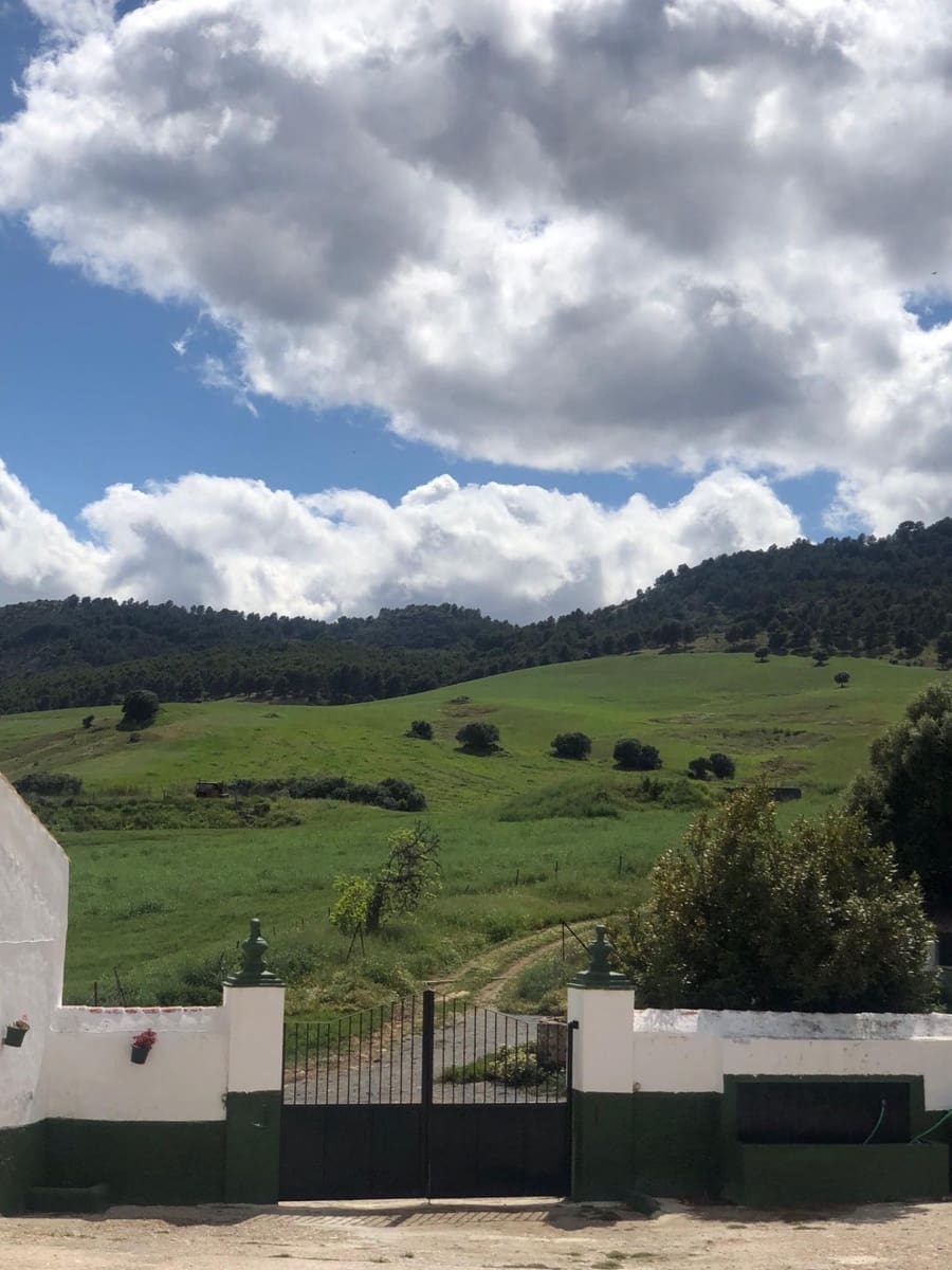 Building Plot for sale in Ardales - € 2,900,000 (Ref: 9757818)