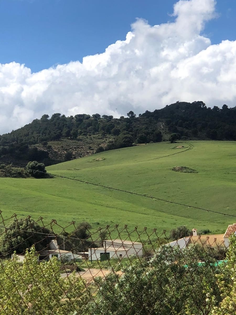 Building Plot for sale in Ardales - € 2,900,000 (Ref: 9757818)