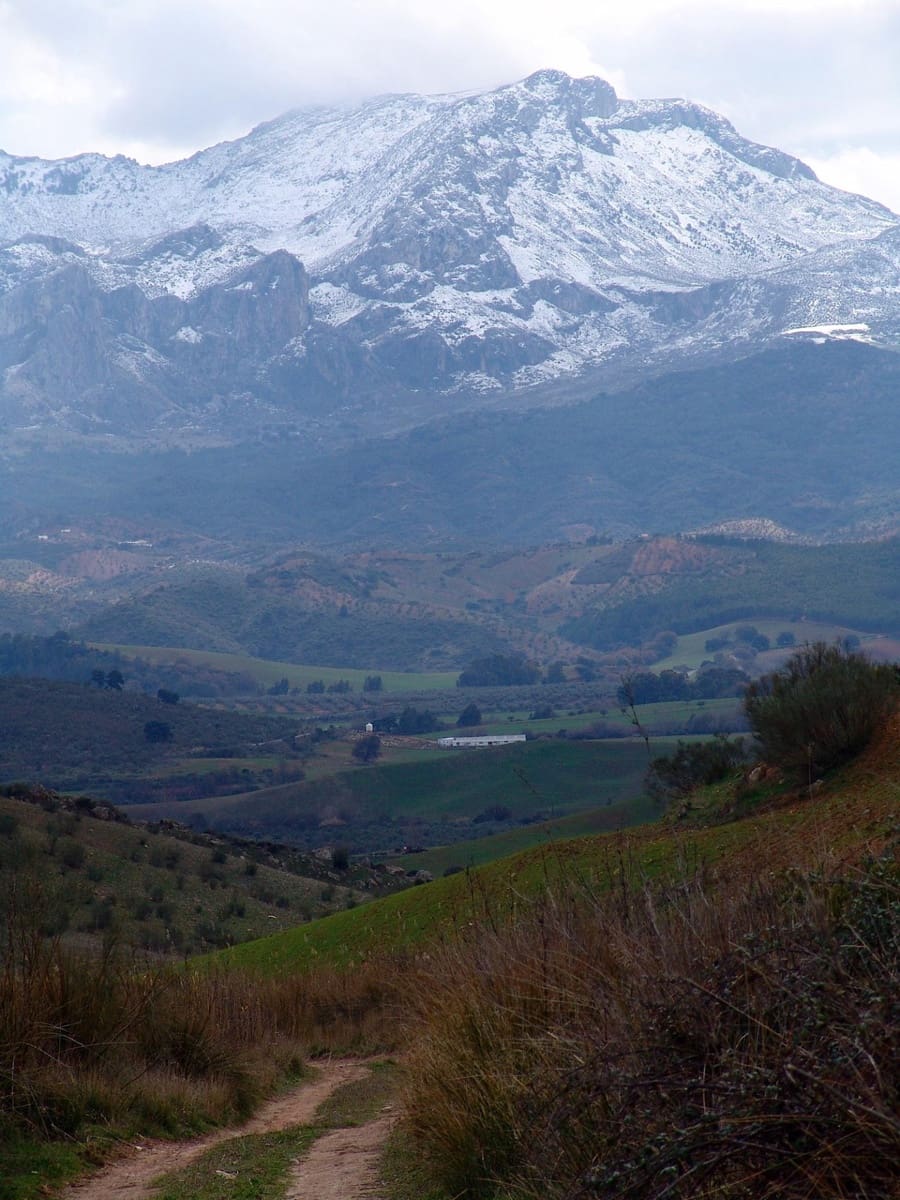 Building Plot for sale in Ardales - € 2,900,000 (Ref: 9757818)