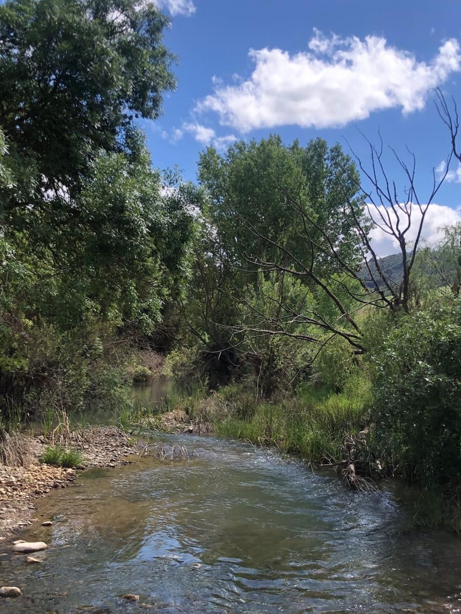 Building Plot for sale in Ardales - € 2,900,000 (Ref: 9757818)