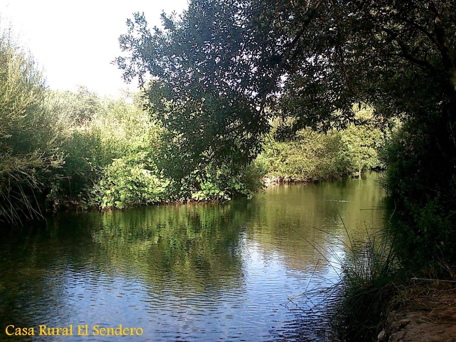 Building Plot for sale in Ardales - € 2,900,000 (Ref: 9757818)