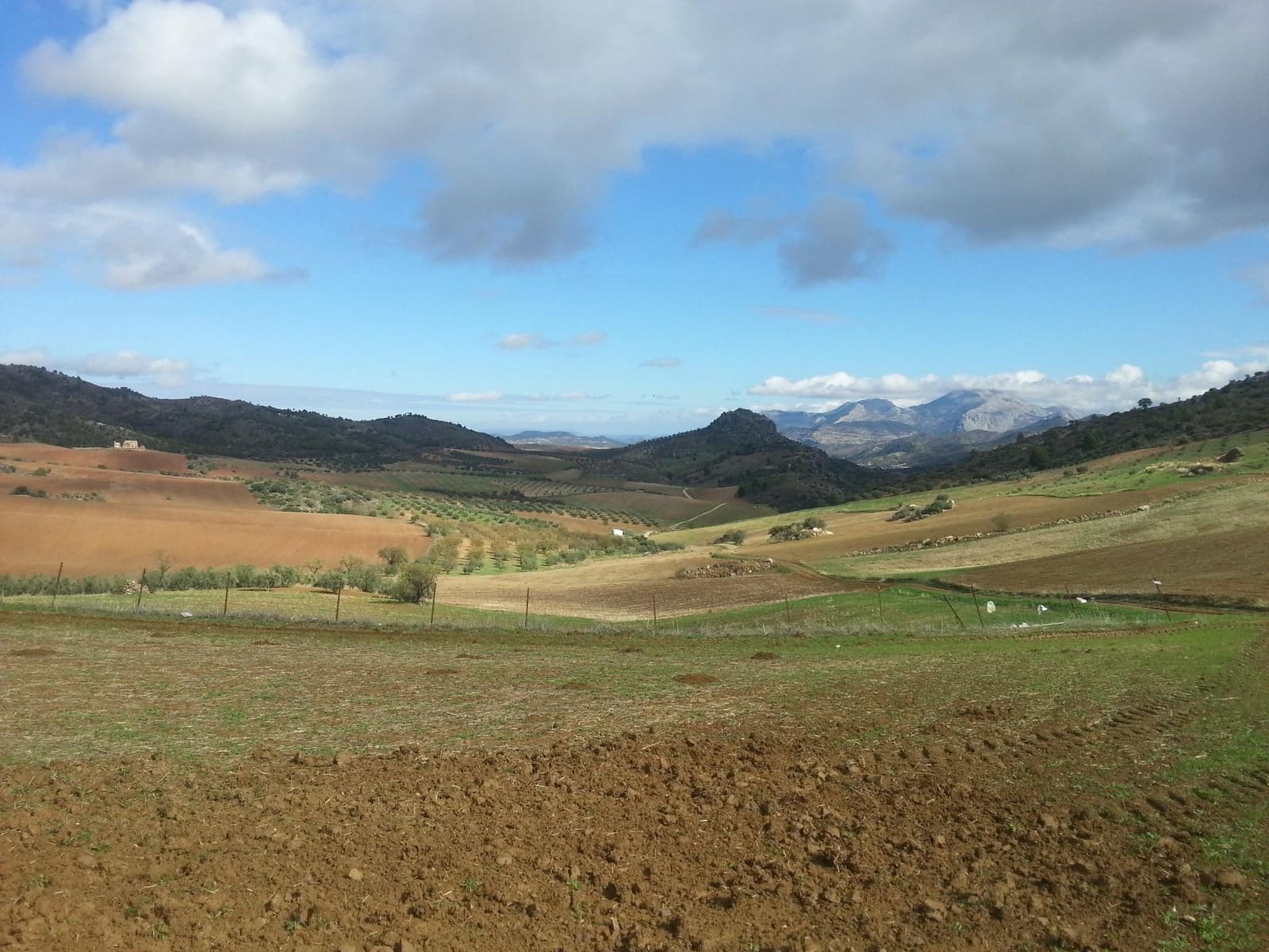 Building Plot for sale in Ardales - € 2,900,000 (Ref: 9757818)