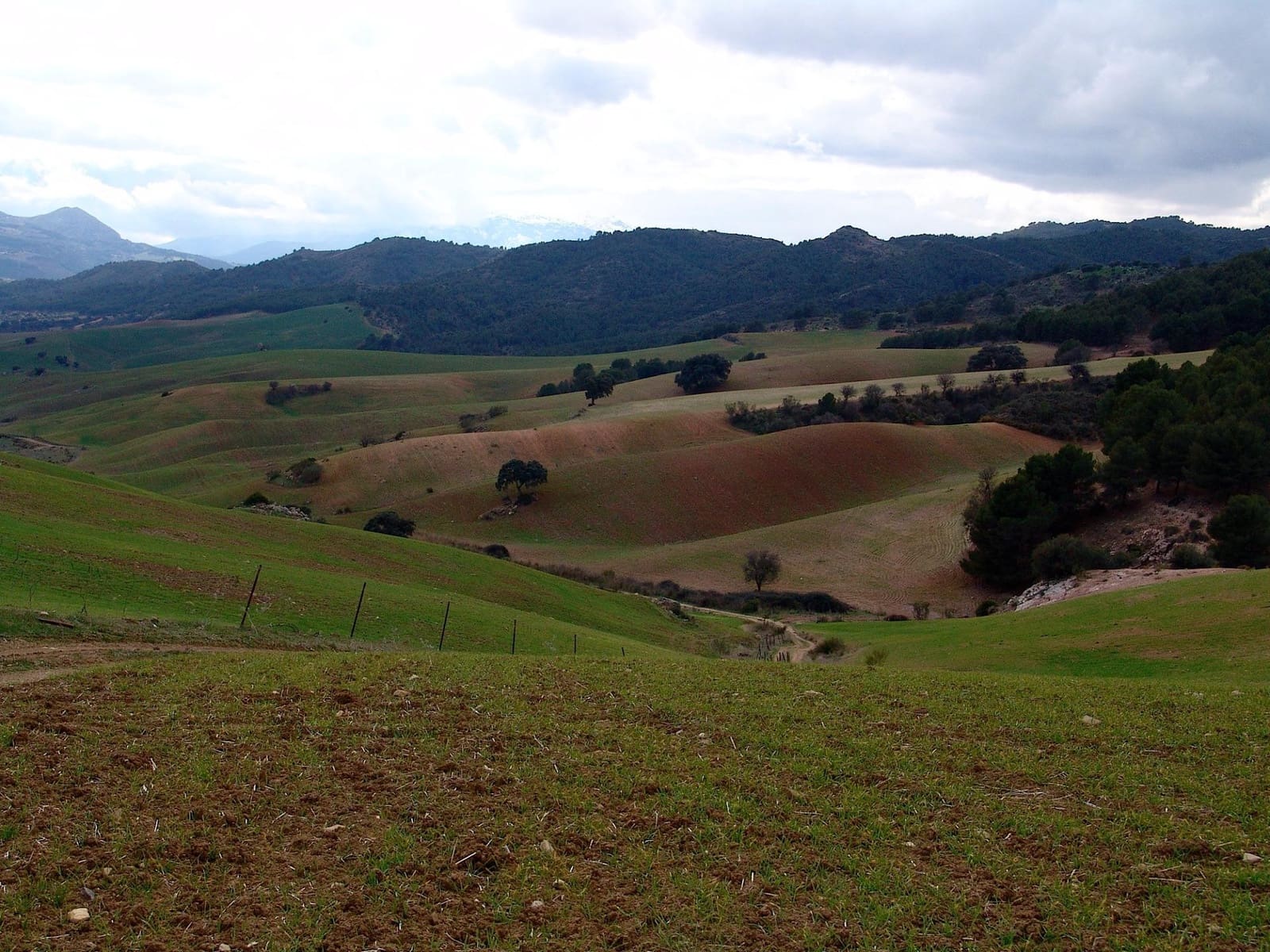 Building Plot for sale in Ardales - € 2,900,000 (Ref: 9757818)