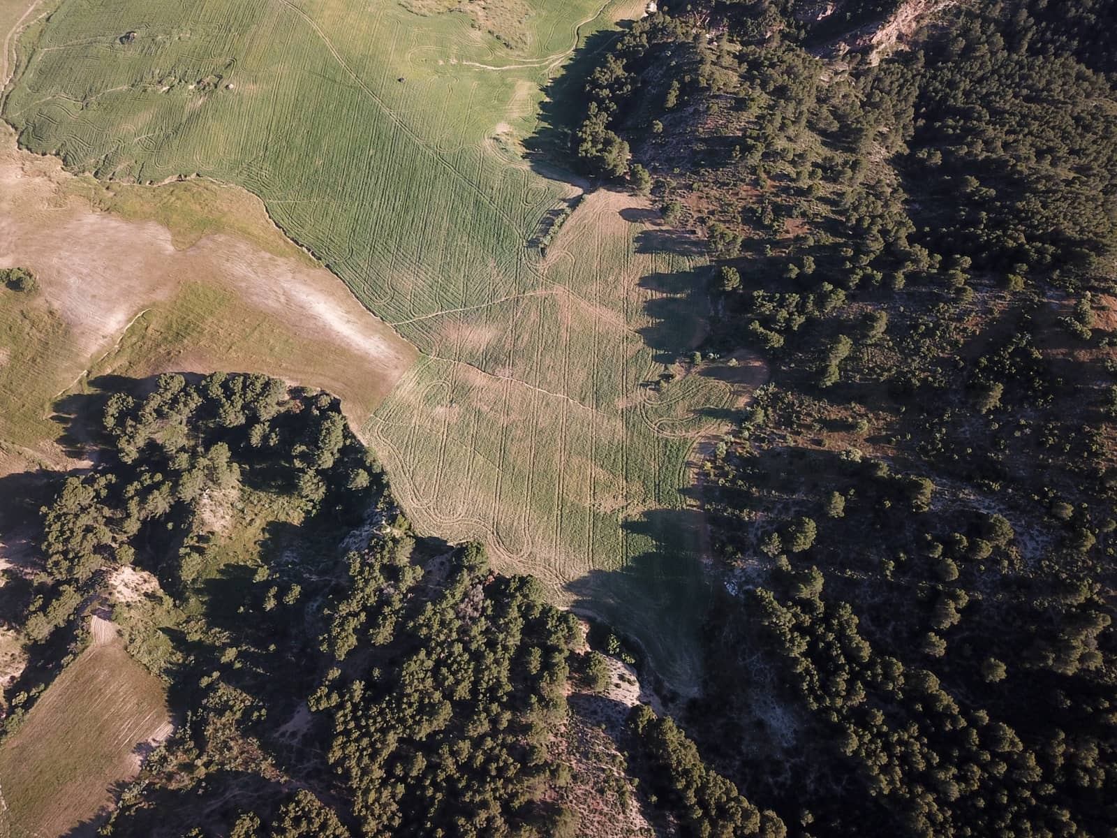 Building Plot for sale in Ardales - € 2,900,000 (Ref: 9757818)