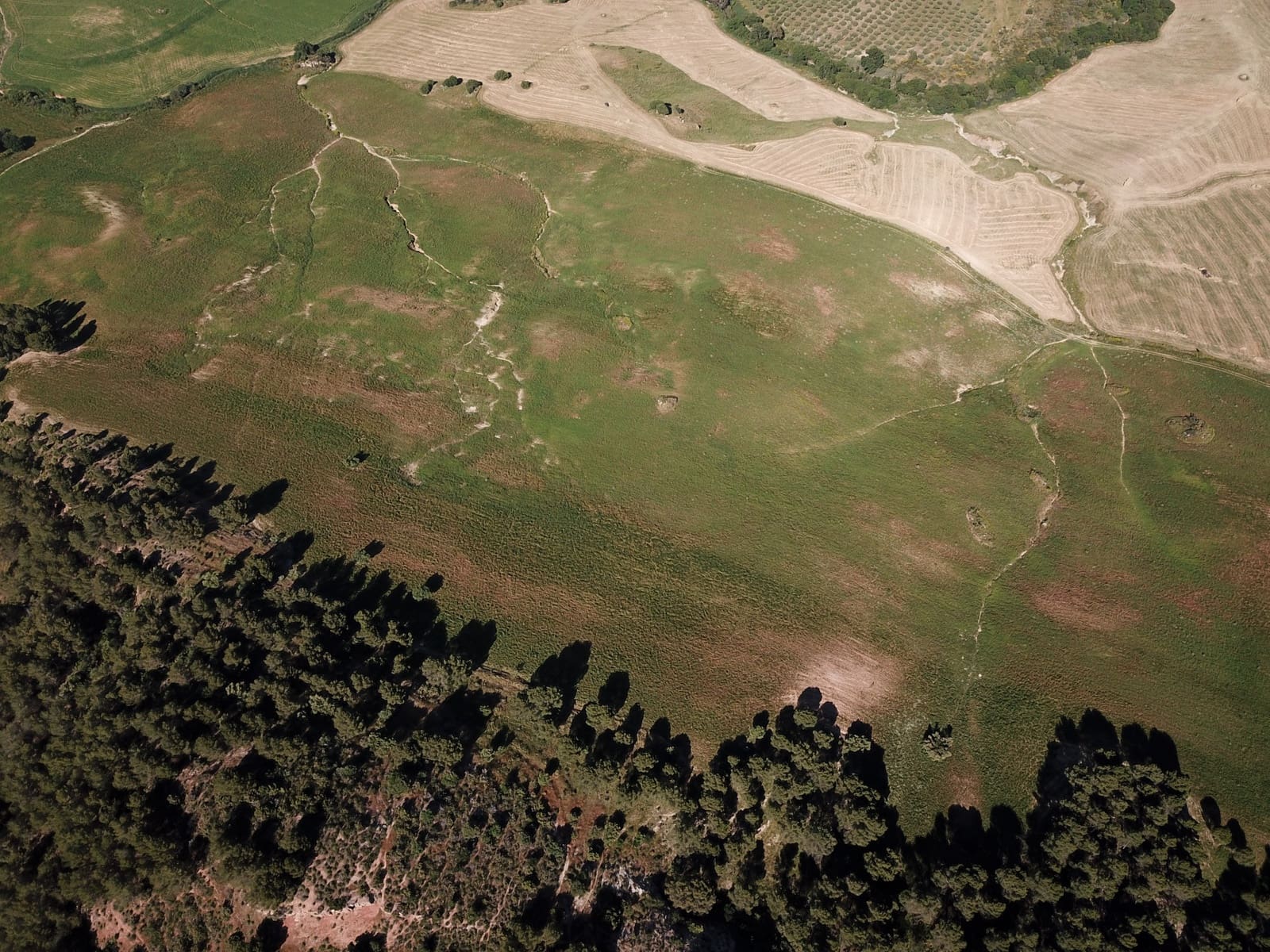 Building Plot for sale in Ardales - € 2,900,000 (Ref: 9757818)