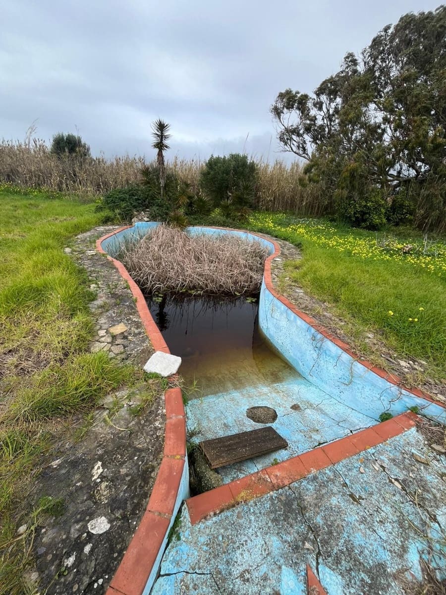 5 bedroom Finca/Country House for sale in Tarifa with pool garage - € 3,000,000 (Ref: 9771892)