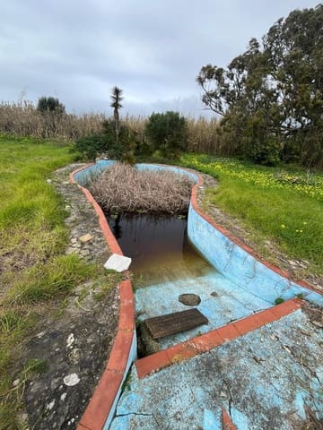 5 bedroom Finca/Country House for sale in Tarifa with pool garage - € 3,000,000 (Ref: 9771892)