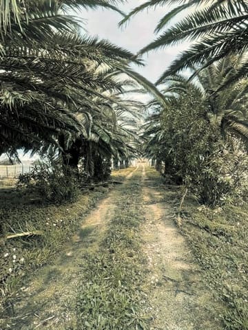 5 bedroom Finca/Country House for sale in Tarifa with pool garage - € 3,000,000 (Ref: 9771892)