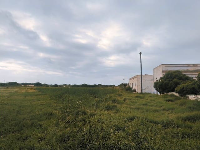 5 bedroom Finca/Country House for sale in Tarifa with pool garage - € 3,000,000 (Ref: 9771892)