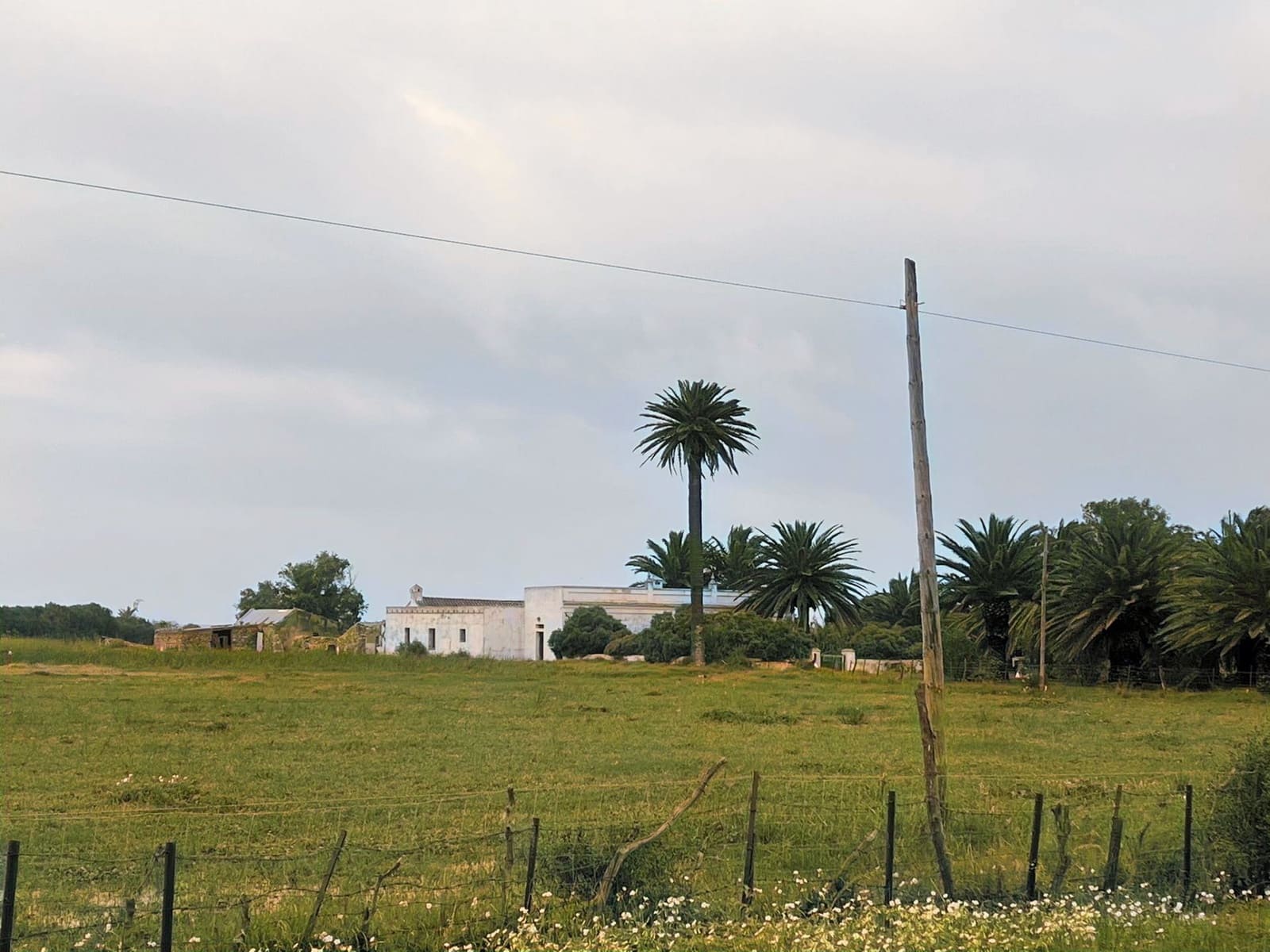 5 bedroom Finca/Country House for sale in Tarifa with pool garage - € 3,000,000 (Ref: 9771892)