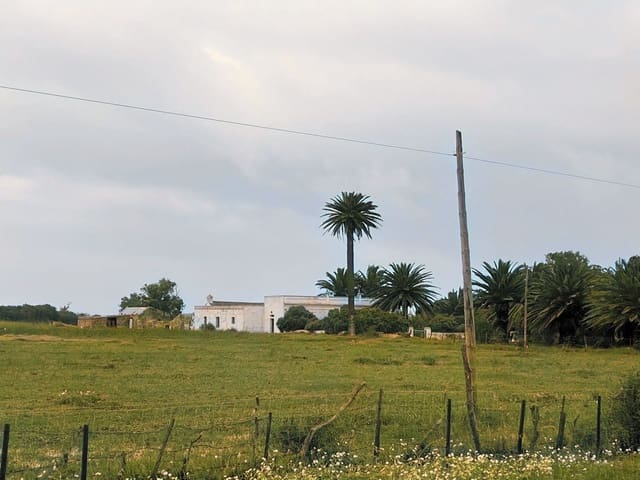 5 bedroom Finca/Country House for sale in Tarifa with pool garage - € 3,000,000 (Ref: 9771892)