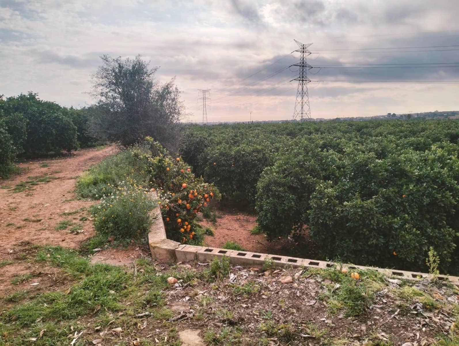 3 sypialnia Willa na sprzedaż w Picassent z basenem - 169 000 € (Ref: 9428050)