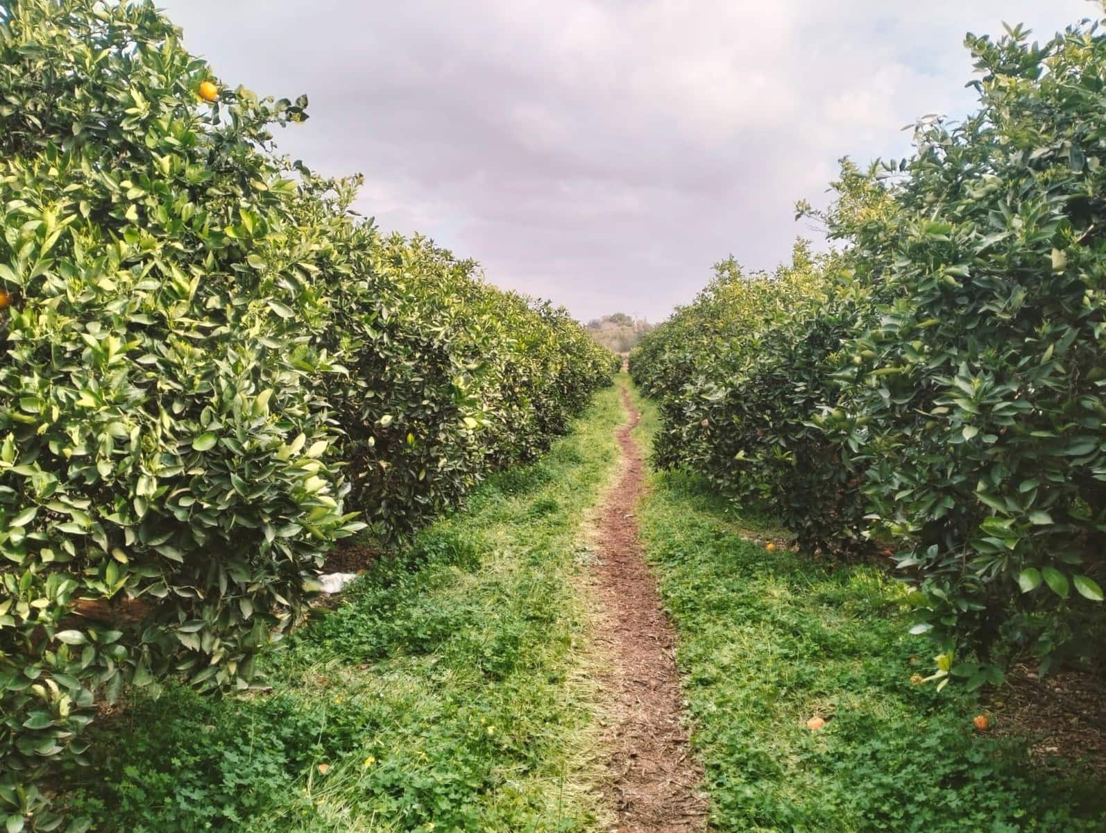 3 sypialnia Willa na sprzedaż w Picassent z basenem - 169 000 € (Ref: 9428050)