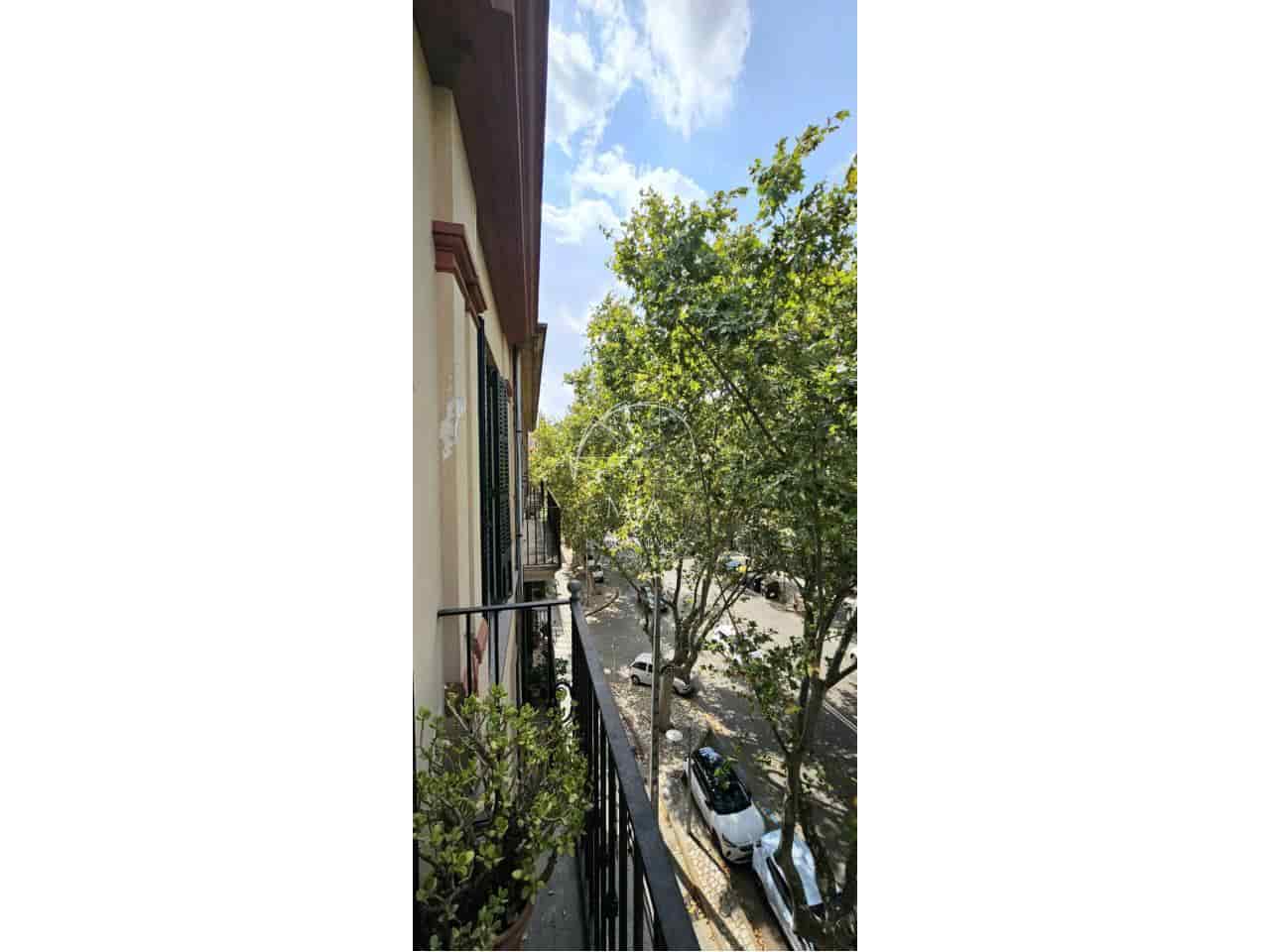 Appartement de 3 chambres à louer à Palma de Mallorca - 1 600 € (Ref: 10121184)