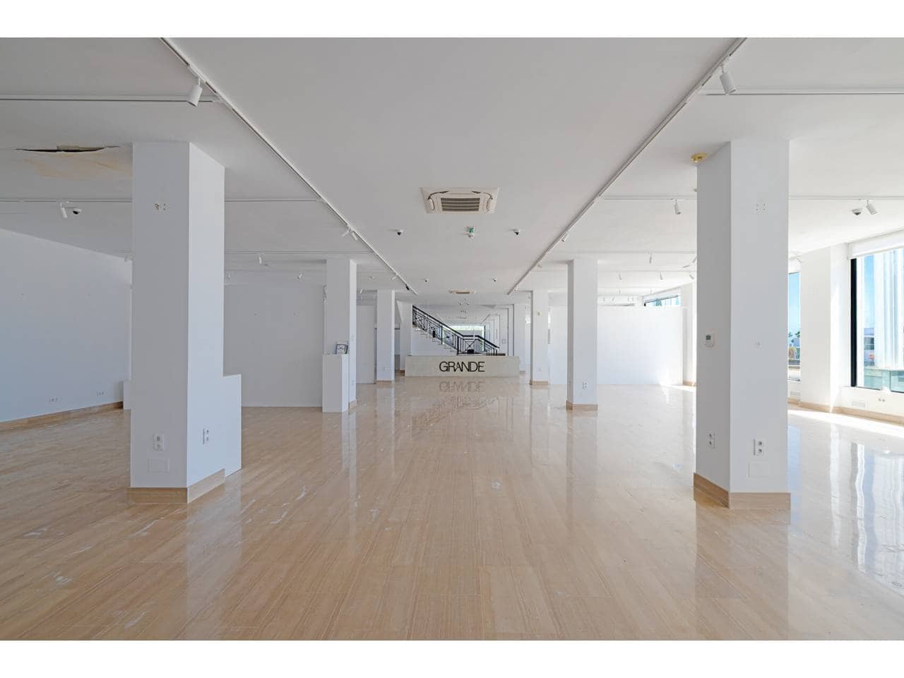 Gewerbe zu verkaufen in Manilva mit Garage - 2.200.000 € (Ref: 10012782)