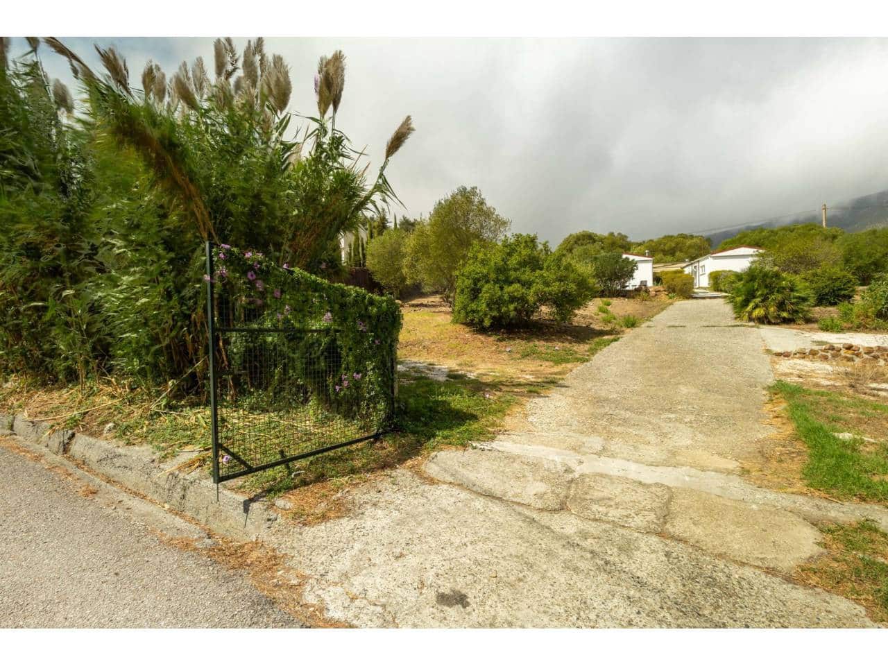 Teren niezagospodarowany na sprzedaż w Tarifa - 495 000 € (Ref: 10101387)