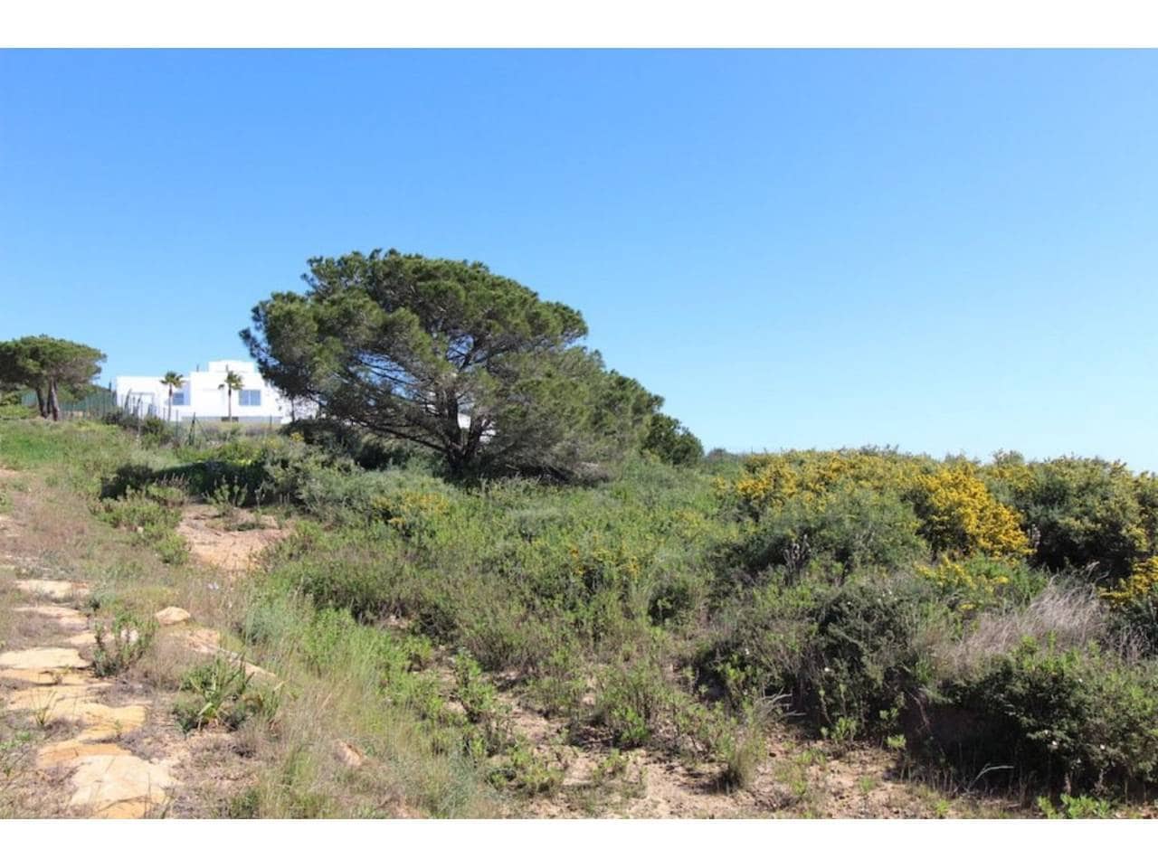 Terrain à Bâtir à vendre à Sotogrande - 1 000 000 € (Ref: 6956741)