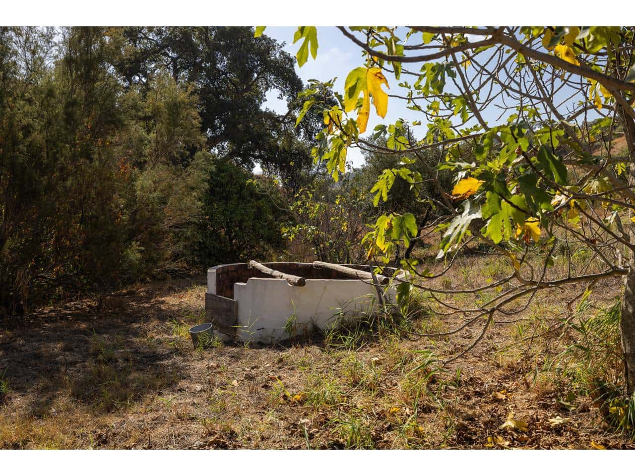 Finca/Maison de Campagne à vendre à Casares - 850 000 € (Ref: 7066413)
