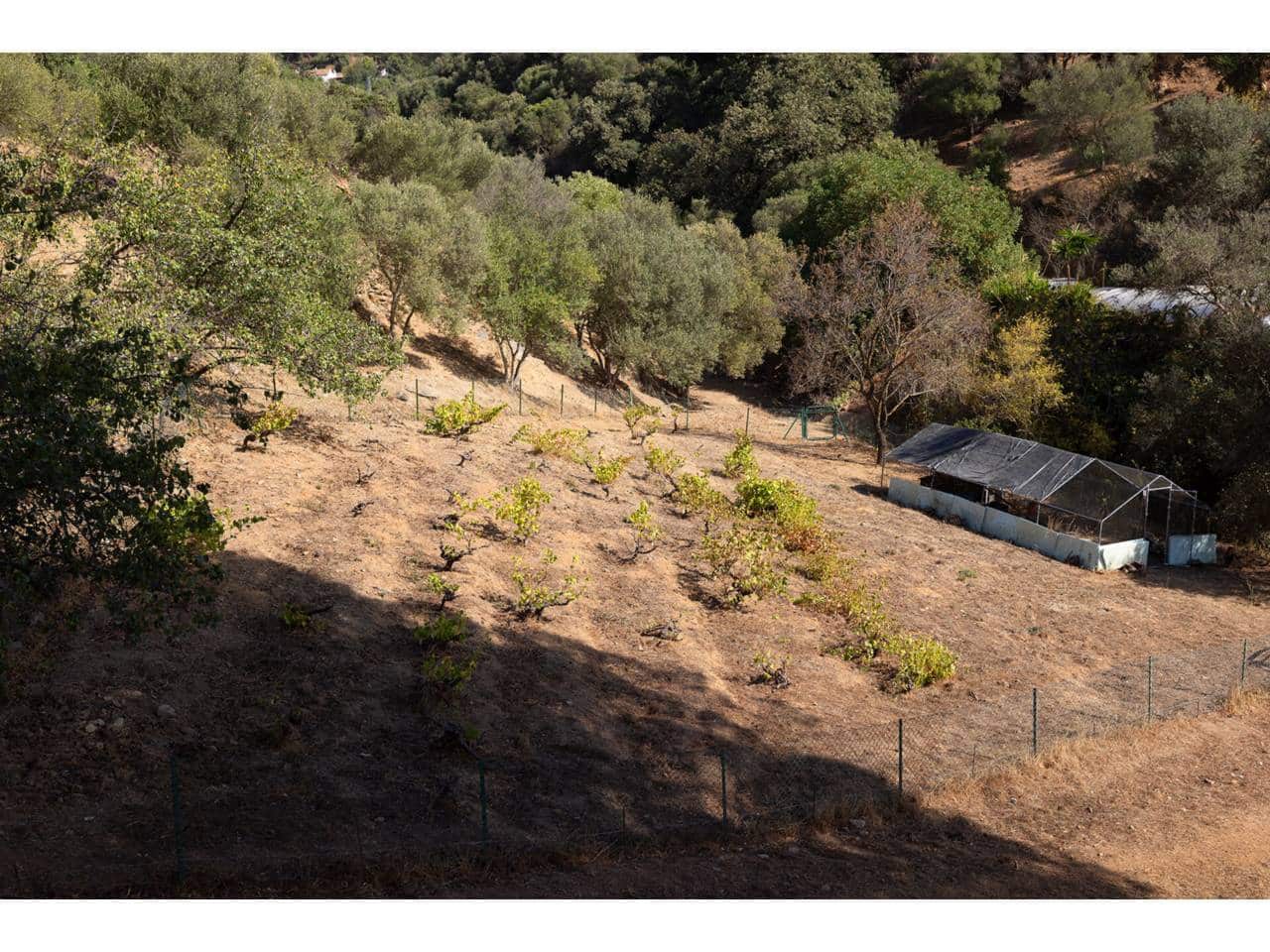 Finca/Maison de Campagne à vendre à Casares - 850 000 € (Ref: 7066413)