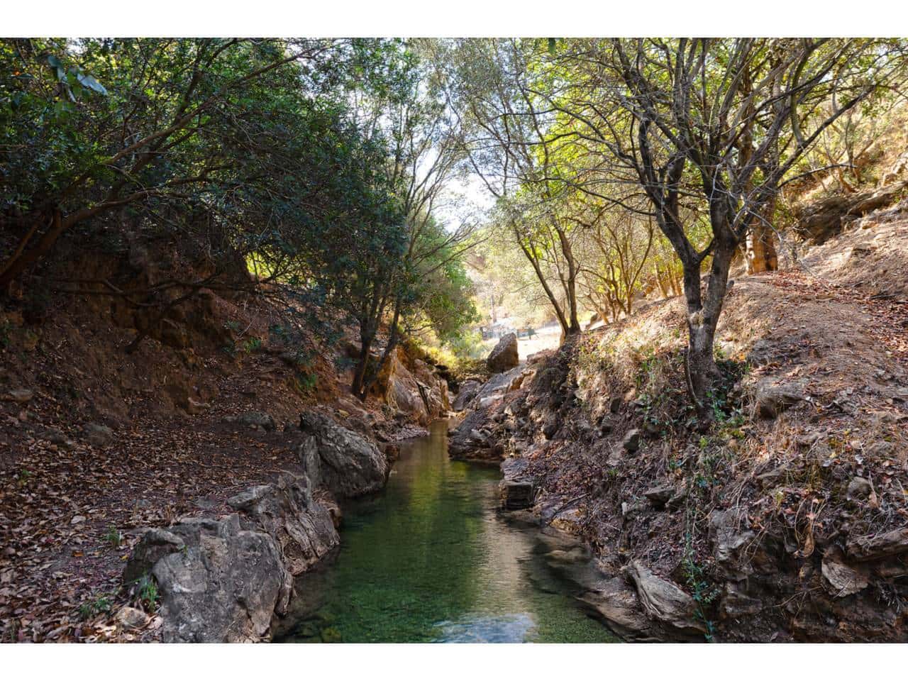 Finca/Maison de Campagne à vendre à Casares - 850 000 € (Ref: 7066413)