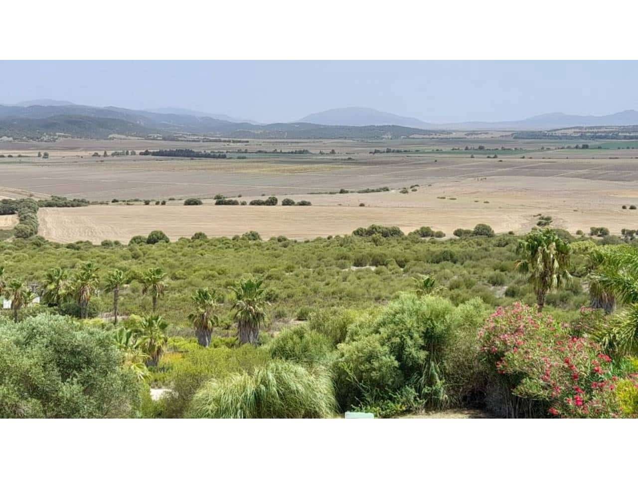 4 soveværelse Villa til salg i Benalup med swimmingpool garage - € 595.000 (Ref: 7741571)