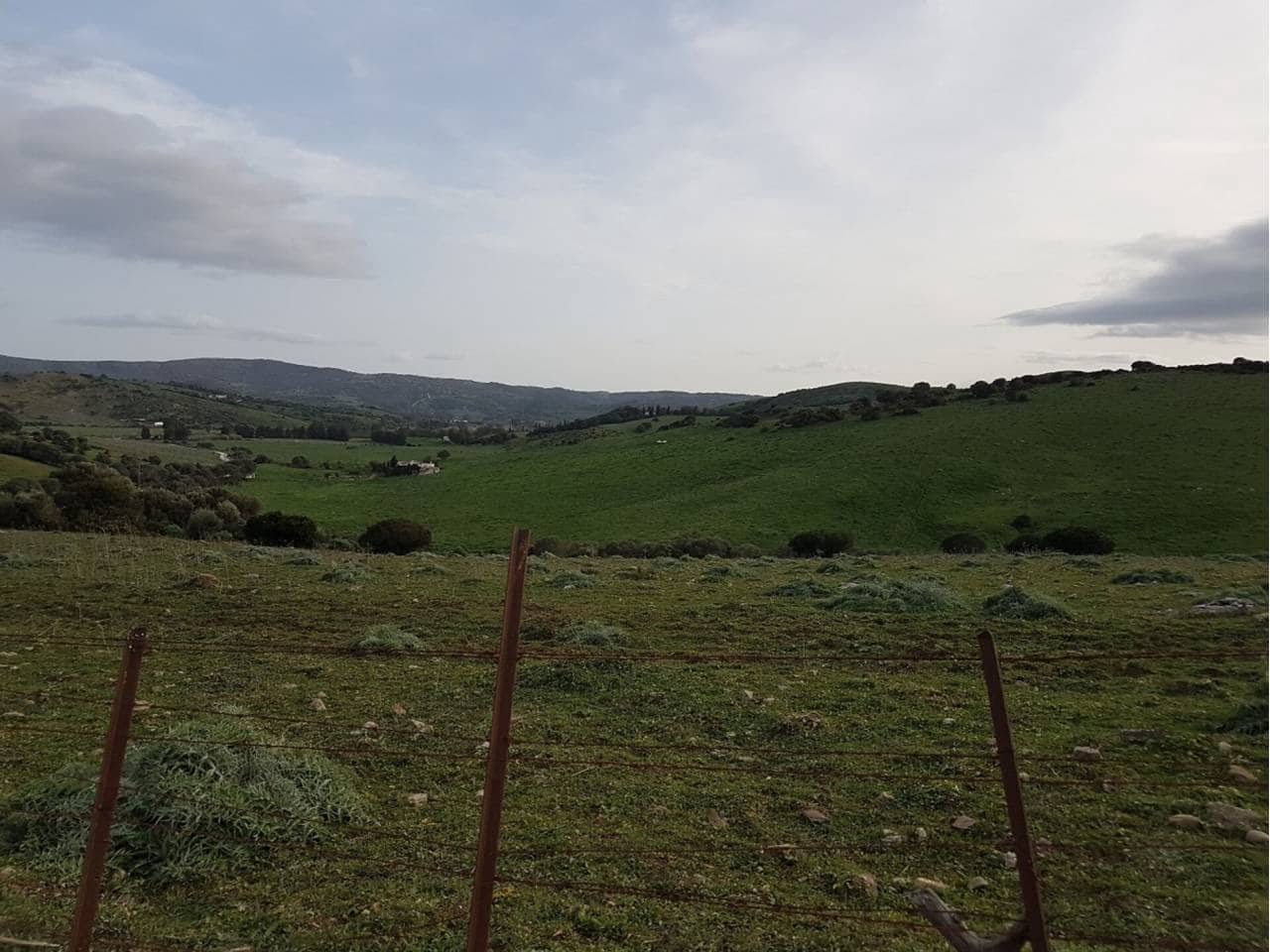 Grunde uden byggetilladelser til salg i Jimena de la Frontera - € 3.500.000 (Ref: 7761632)