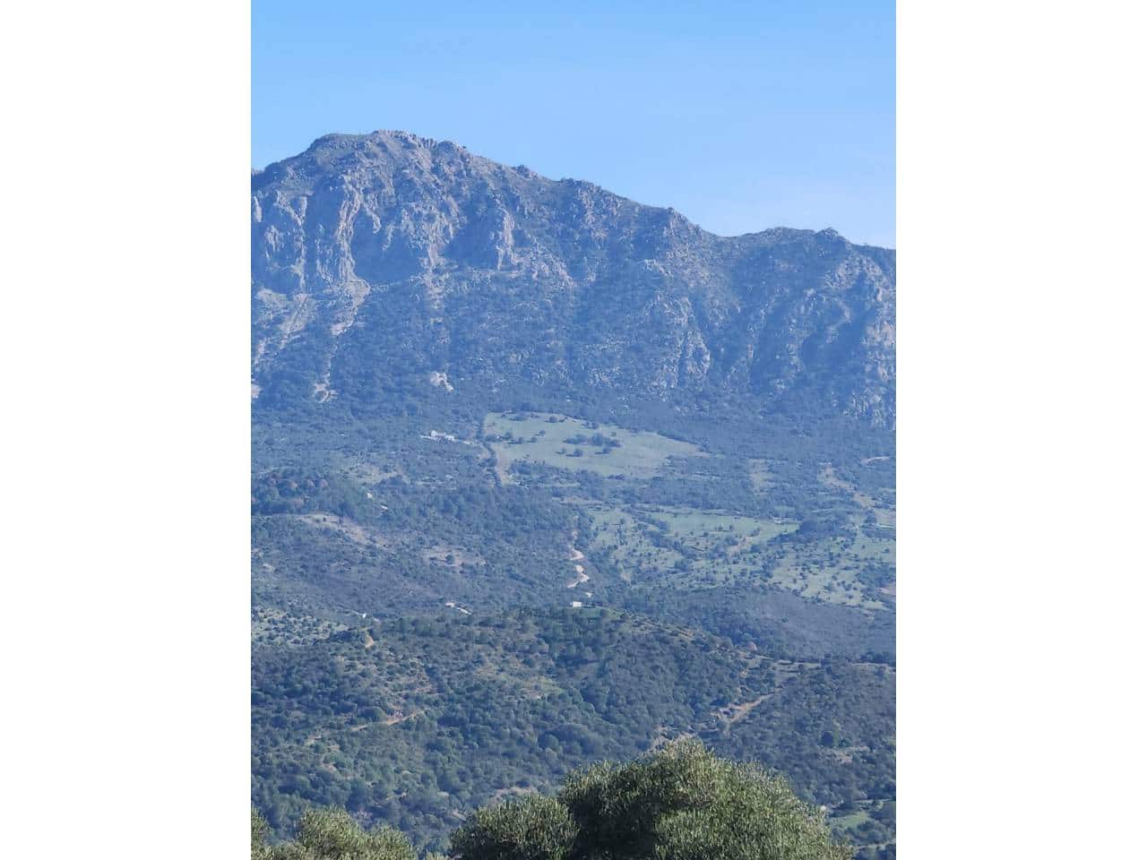 Ubebygd land til salgs i Gaucin - € 790 000 (Ref: 8093608)