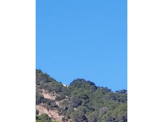 Terreno Non Edificato in vendita in Gaucín - 790.000 € (Rif: 8093608)