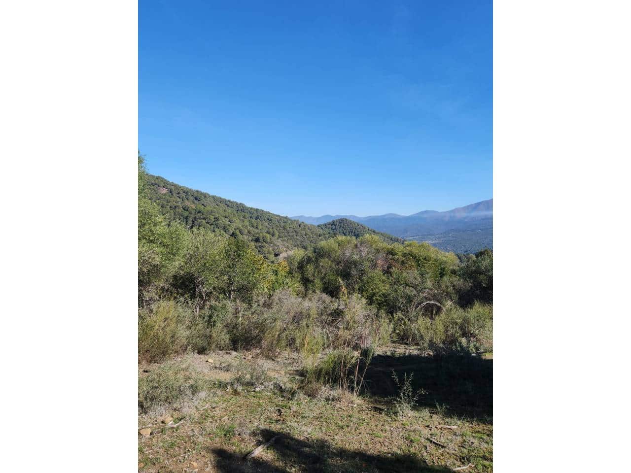 Ubebygd land til salgs i Gaucin - € 790 000 (Ref: 8093608)