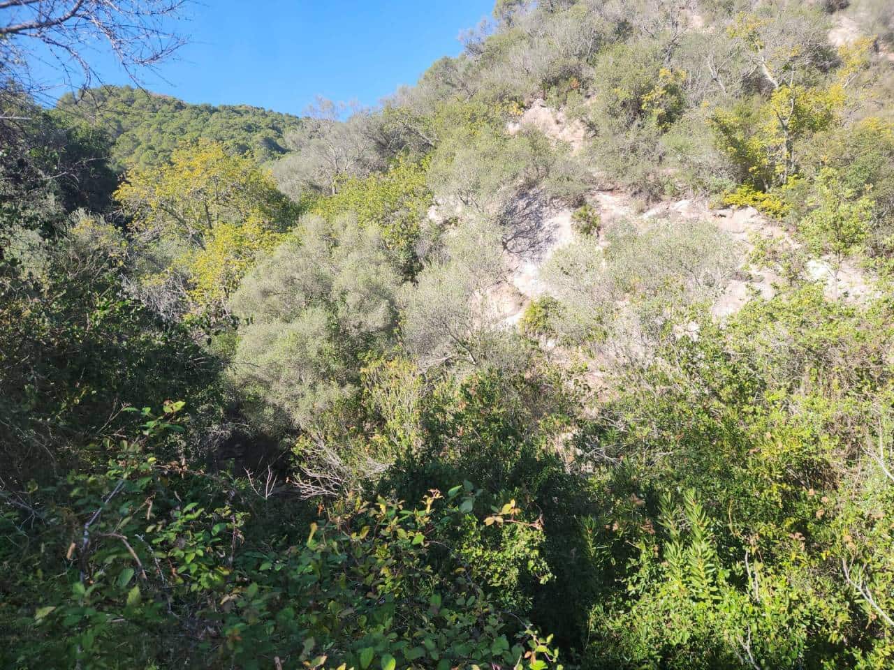 Ubebygd land til salgs i Gaucin - € 790 000 (Ref: 8093608)