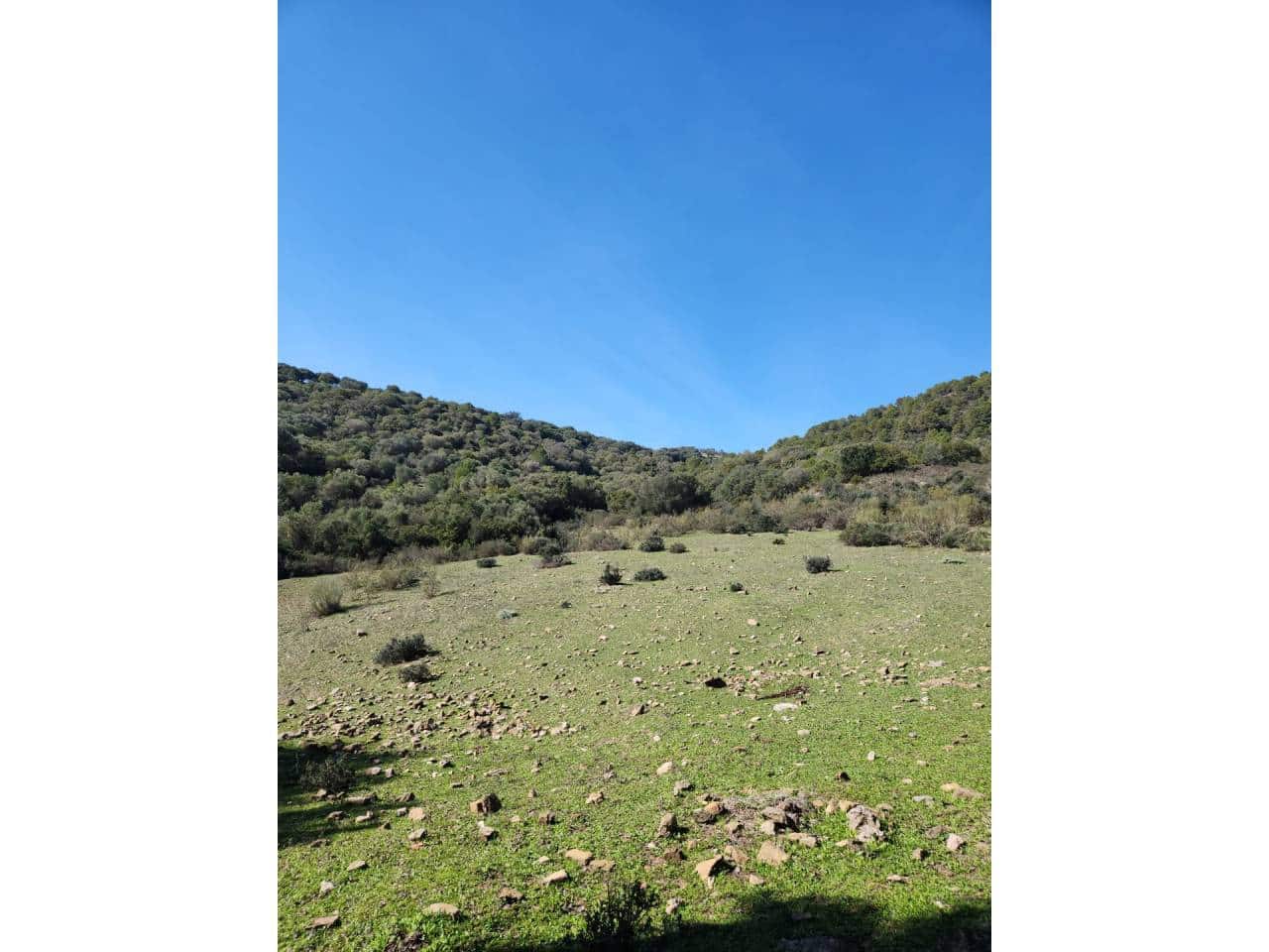 Ubebygd land til salgs i Gaucin - € 790 000 (Ref: 8093608)