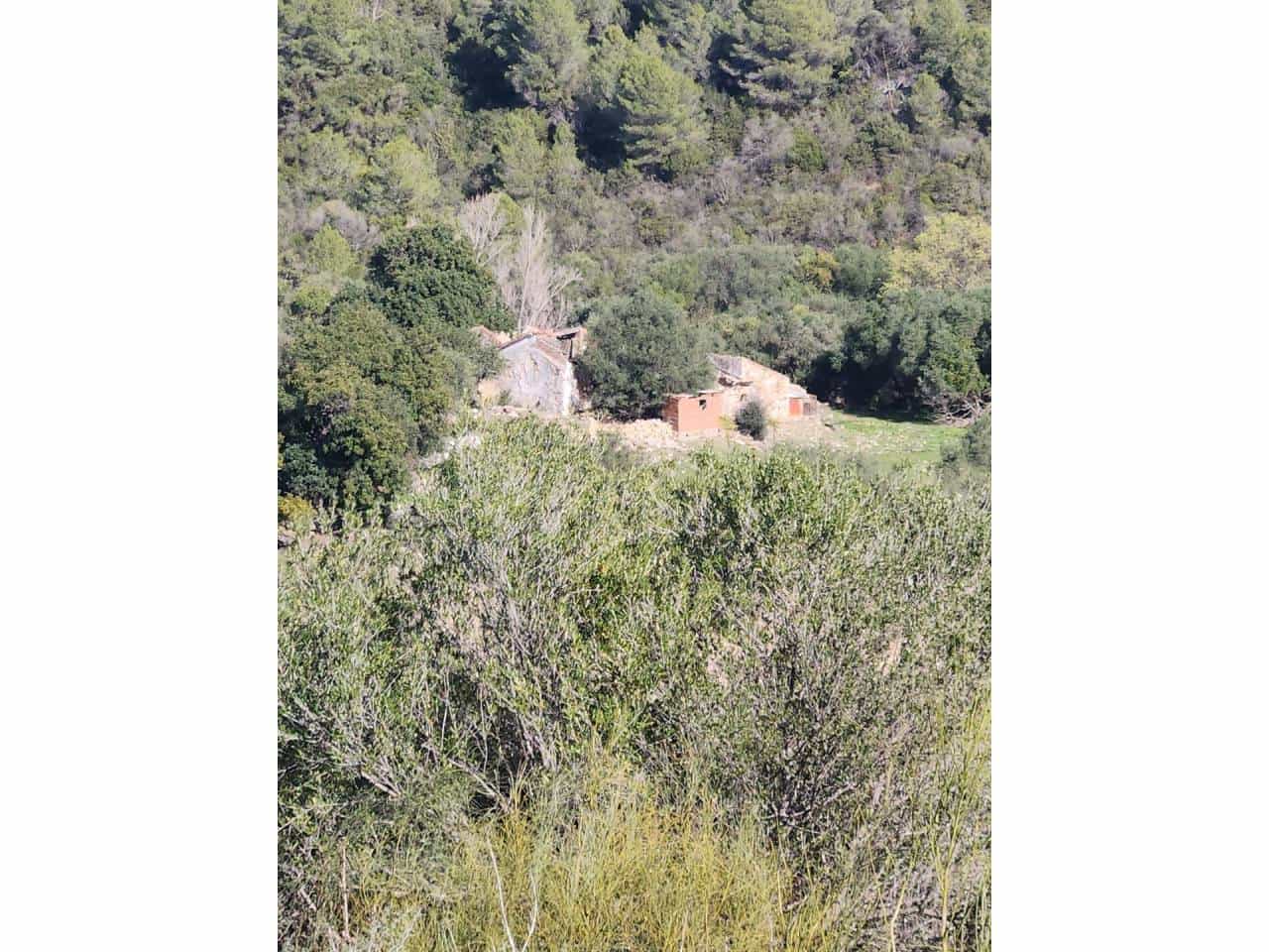 Ubebygd land til salgs i Gaucin - € 790 000 (Ref: 8093608)