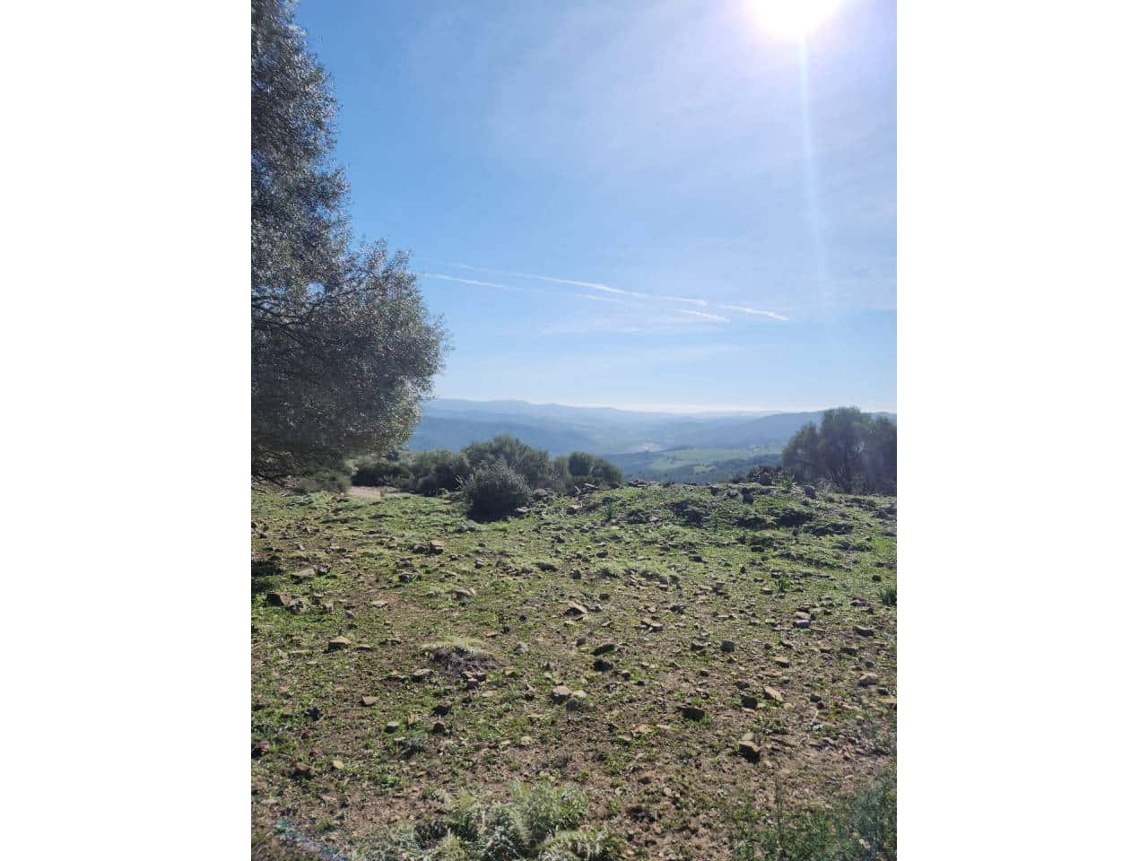 Ubebygd land til salgs i Gaucin - € 790 000 (Ref: 8093608)