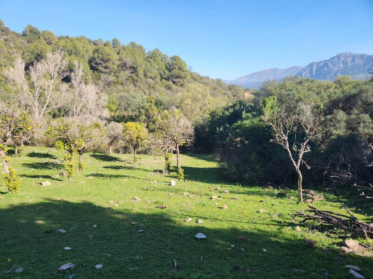 Ubebygd land til salgs i Gaucin - € 790 000 (Ref: 8093608)