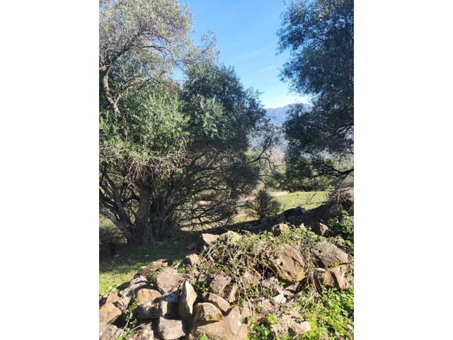 Terreno Non Edificato in vendita in Gaucín - 790.000 € (Rif: 8093608)