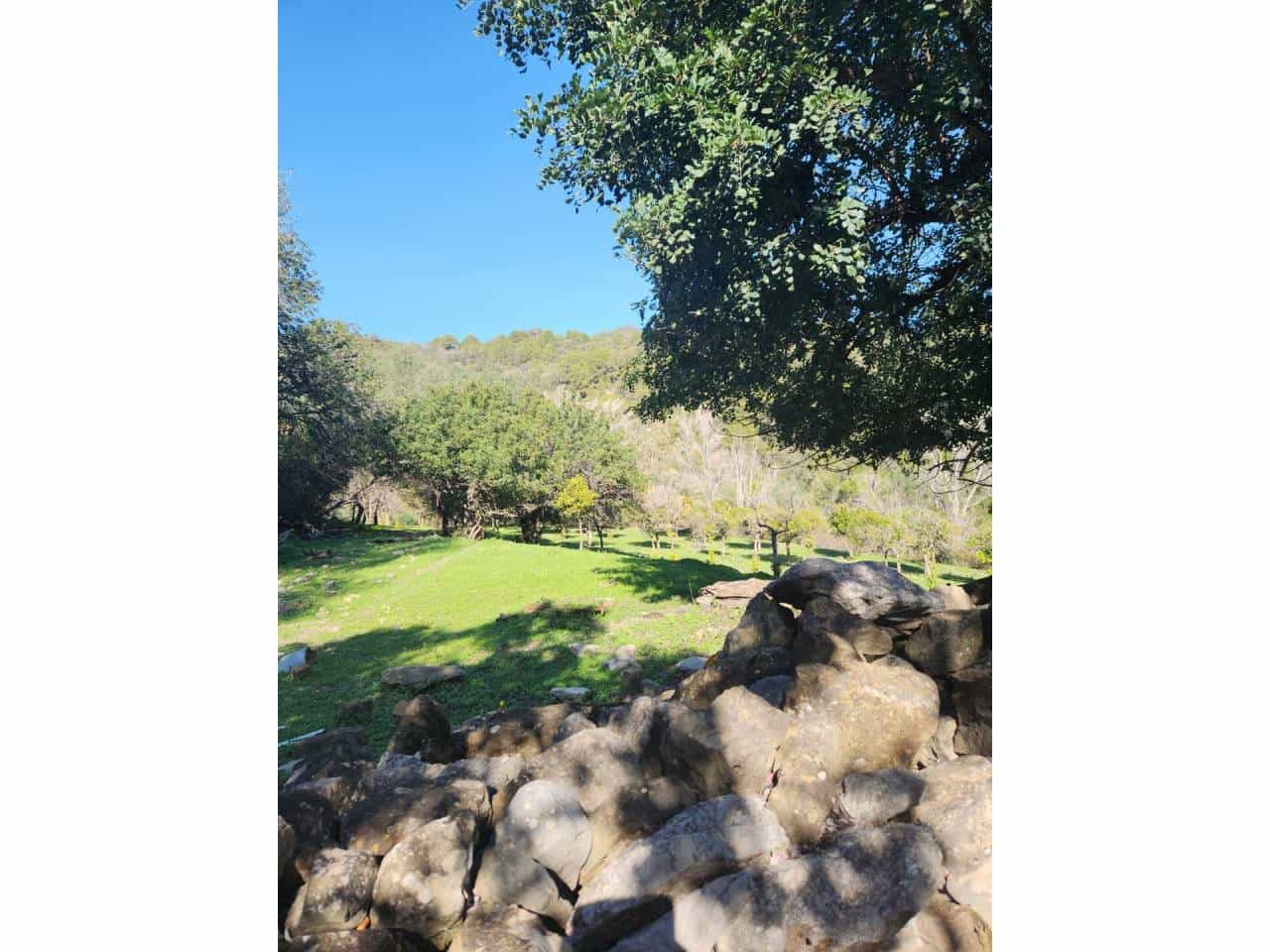 Ubebygd land til salgs i Gaucin - € 790 000 (Ref: 8093608)