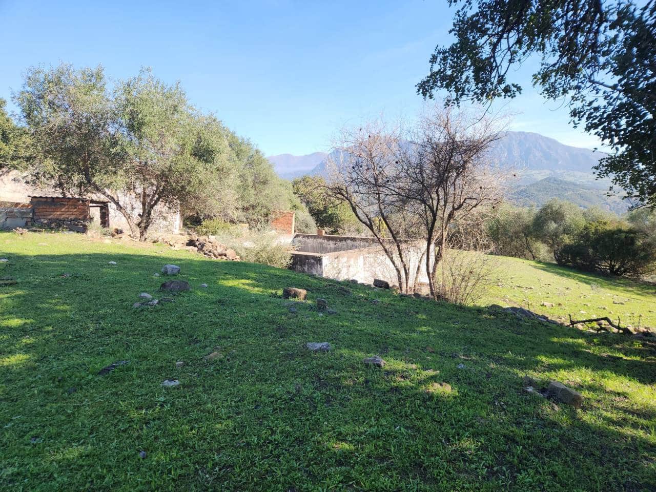 Ubebygd land til salgs i Gaucin - € 790 000 (Ref: 8093608)