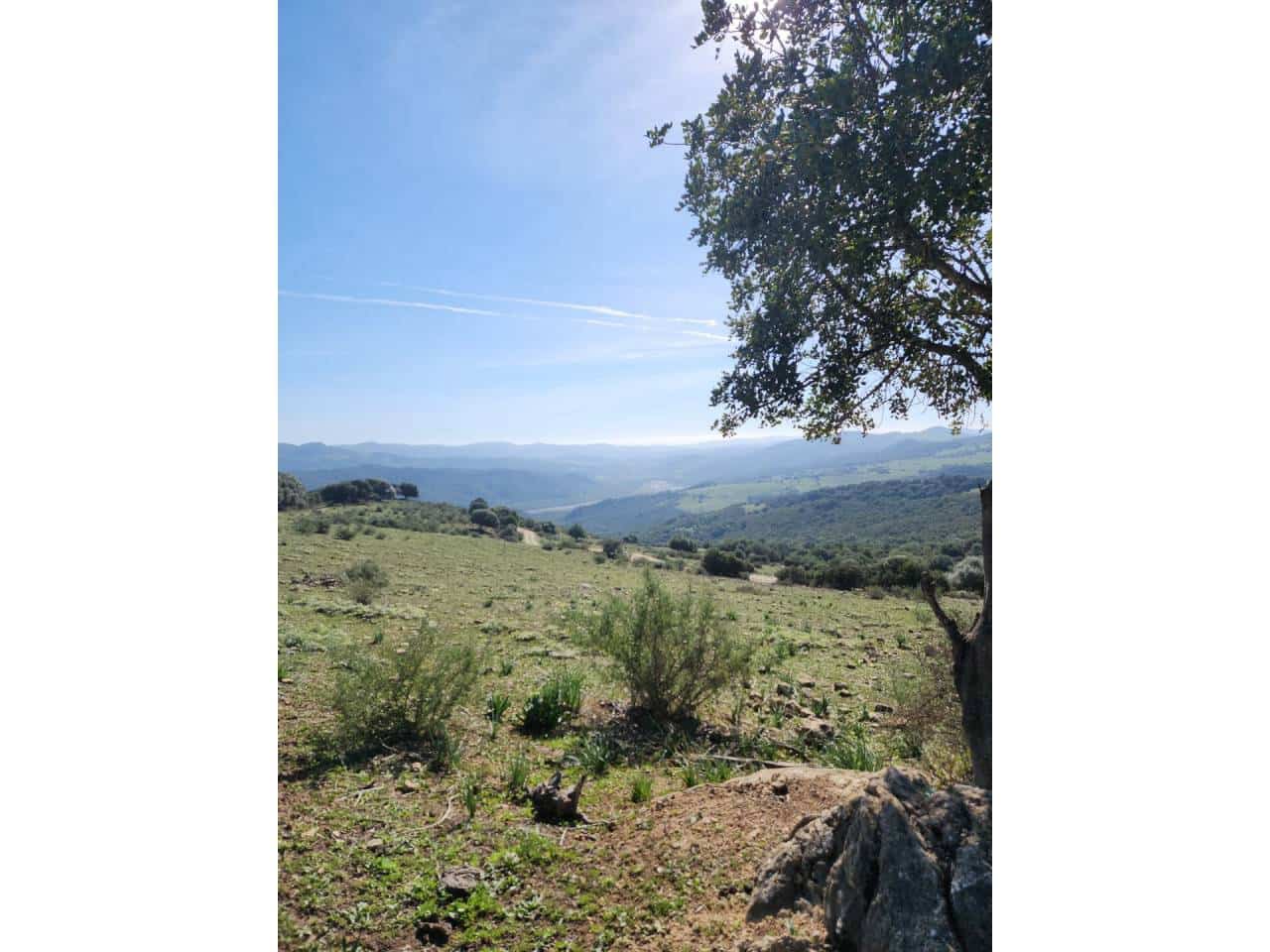 Ubebygd land til salgs i Gaucin - € 790 000 (Ref: 8093608)