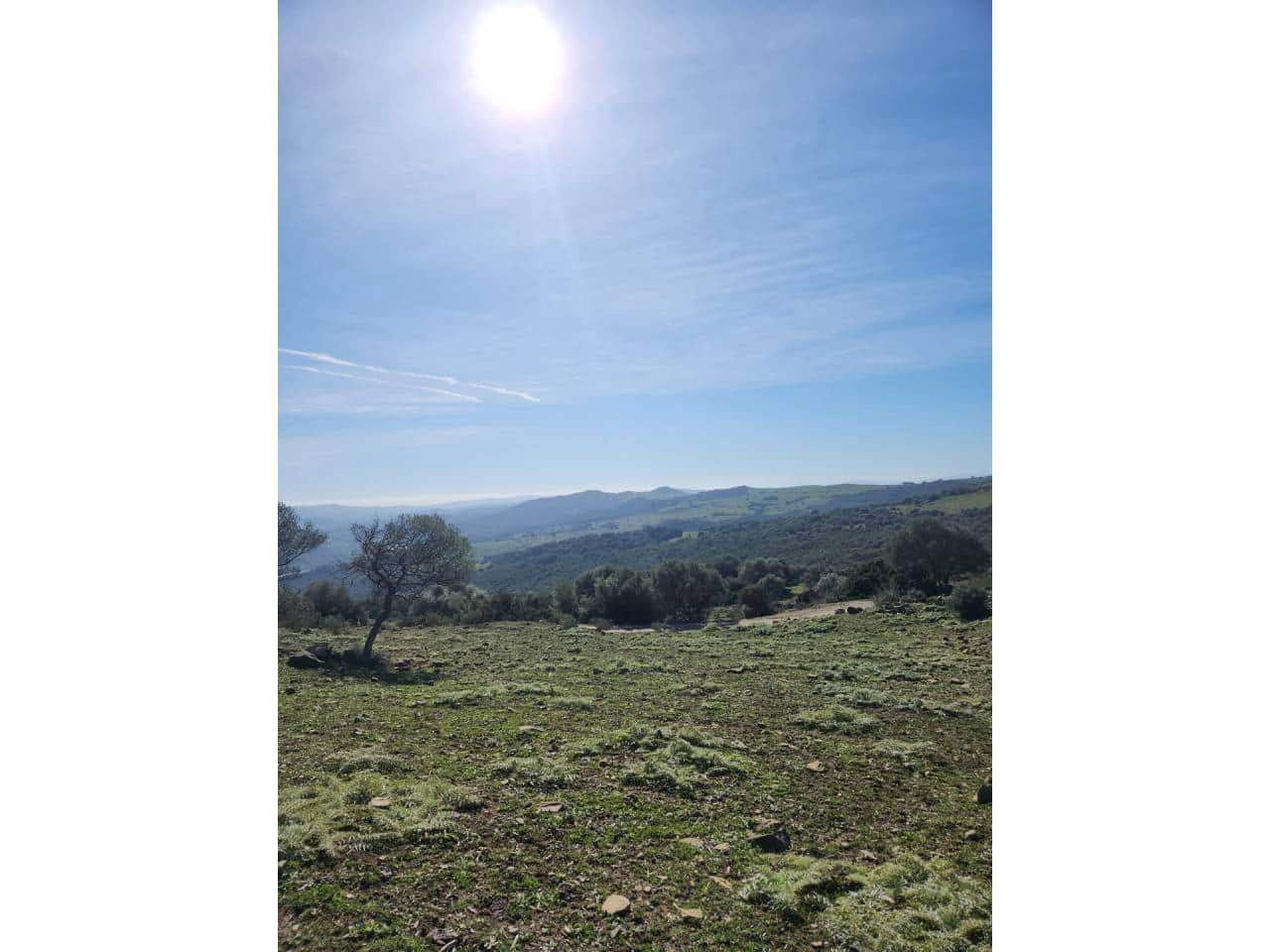 Ubebygd land til salgs i Gaucin - € 790 000 (Ref: 8093608)