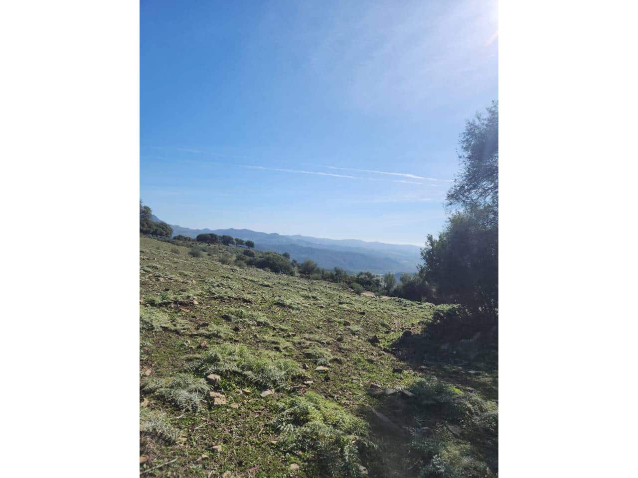 Ubebygd land til salgs i Gaucin - € 790 000 (Ref: 8093608)