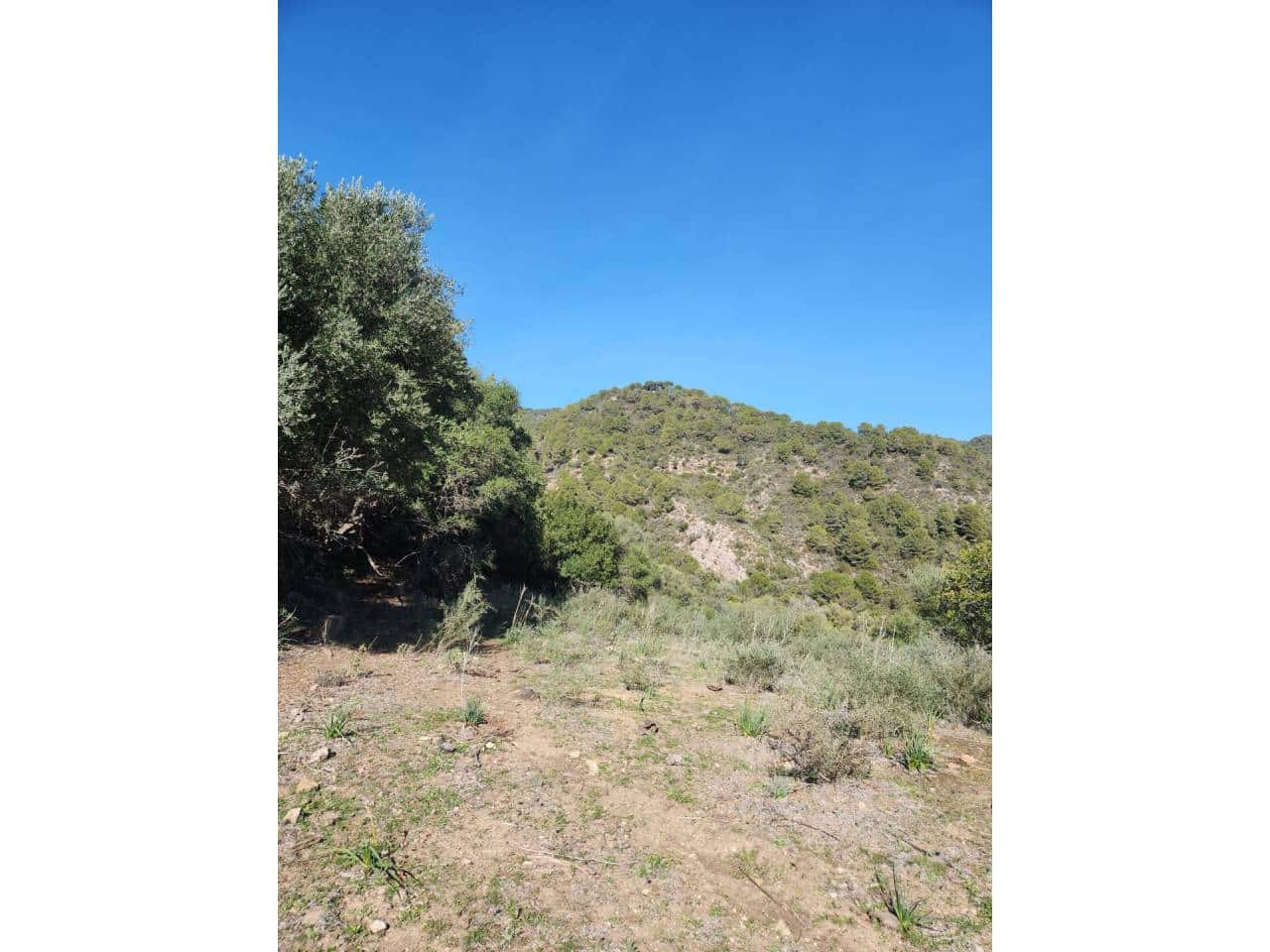 Ubebygd land til salgs i Gaucin - € 790 000 (Ref: 8093608)