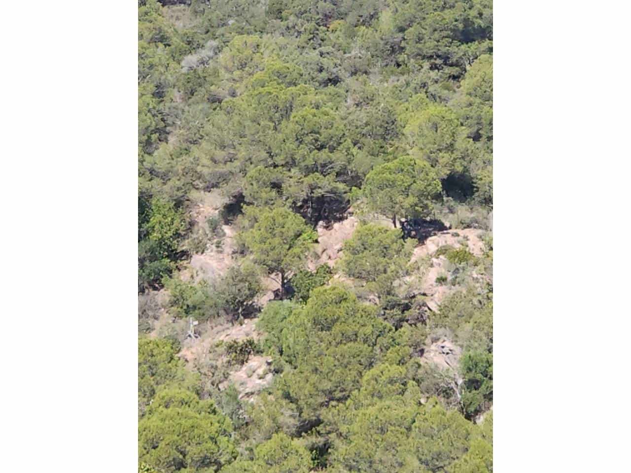 Ubebygd land til salgs i Gaucin - € 790 000 (Ref: 8093608)