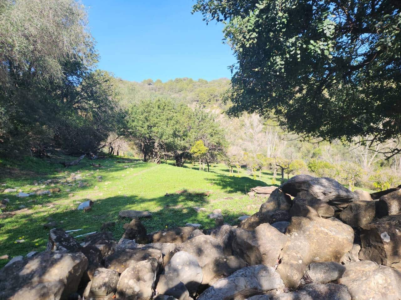 Ubebygd land til salgs i Gaucin - € 790 000 (Ref: 8093608)