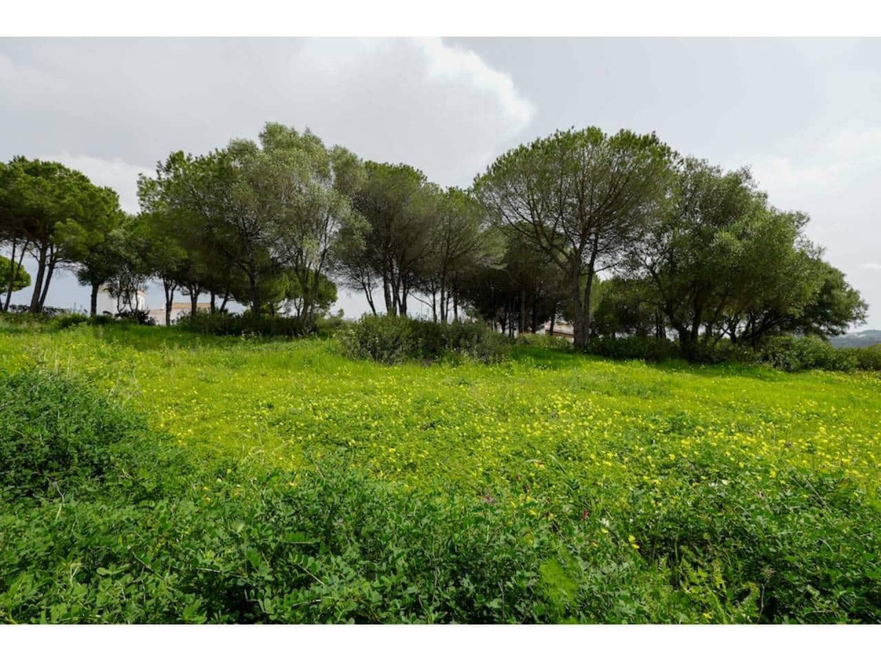 Grunde uden byggetilladelser til salg i Sotogrande - € 580.000 (Ref: 8183606)