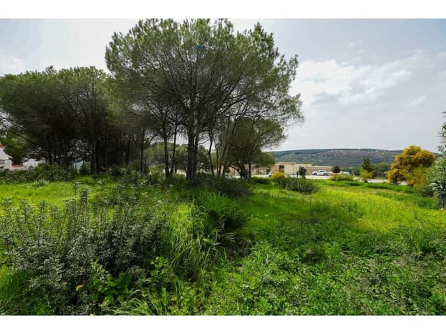 Terreno Não Urbanizado para venda em Sotogrande Alto, San Roque - 580 000 € (Ref: 8183606)