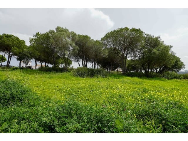 Terreno Não Urbanizado para venda em Sotogrande Alto, San Roque - 580 000 € (Ref: 8183606)